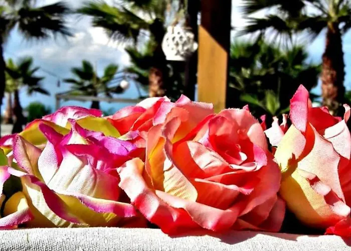 Agriturismo Armania Alojamento de Turismo Rural *